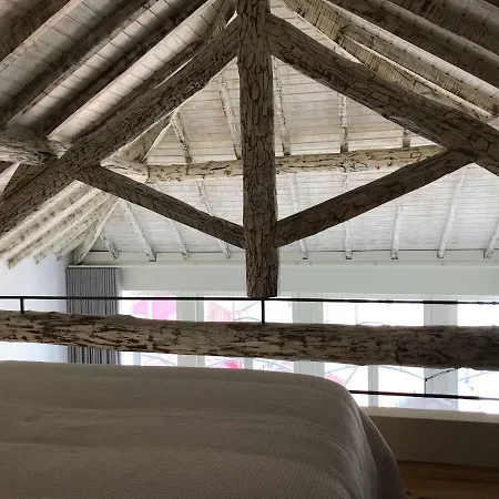 아파트 S.lazaro Flat 포르투